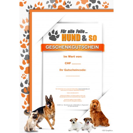 Geschenkgutschein -  CHF 100.00