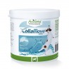 AniForte® CollaMove® dog - Marine Kollagen-Peptide - 250g