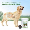 AniForte® Heilmoor 1,2 kg