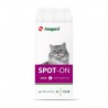 Amigard Spot-on für Katzen / Kleinsthunde -  3 Pipetten