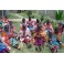 HIPPO CIRCUS Massai Halsband