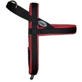 Limex Geschirr Neopren Rot