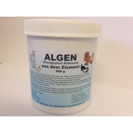 Algen aus dem Eismeer - 400g