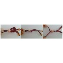 Bernsteinkette für Hunde - Gr. S - M (33-55cm)