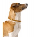 Bernsteinkette für Hunde - Gr. L - XL (50-65cm)