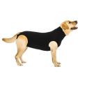 OP Body - Recovery Suit Hundebody
