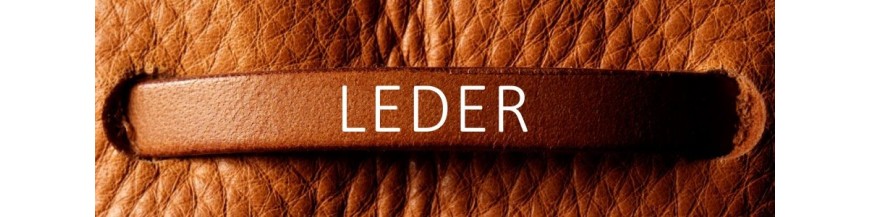 Leder Geschirre