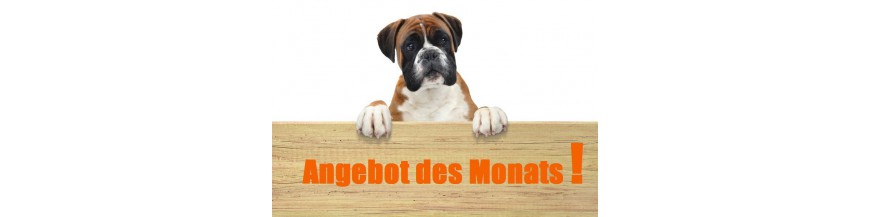 Monatsangebot